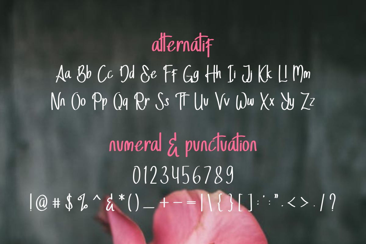 StellaAlpina Font TRIO StellaAlpina Font TRIO