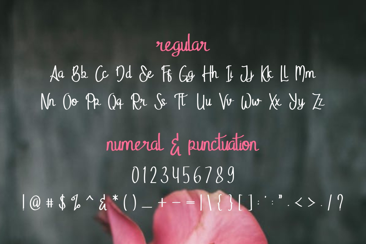 StellaAlpina Font TRIO StellaAlpina Font TRIO
