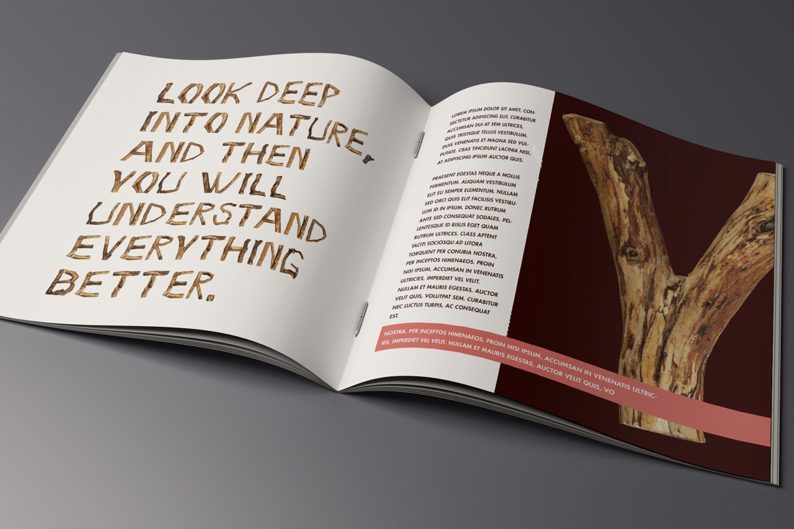 Craft Wood Font Craft Wood Font