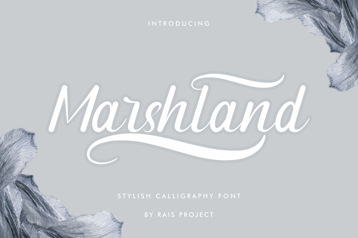 Marshland Elegant Calligraphy Font Marshland Elegant Calligraphy Font