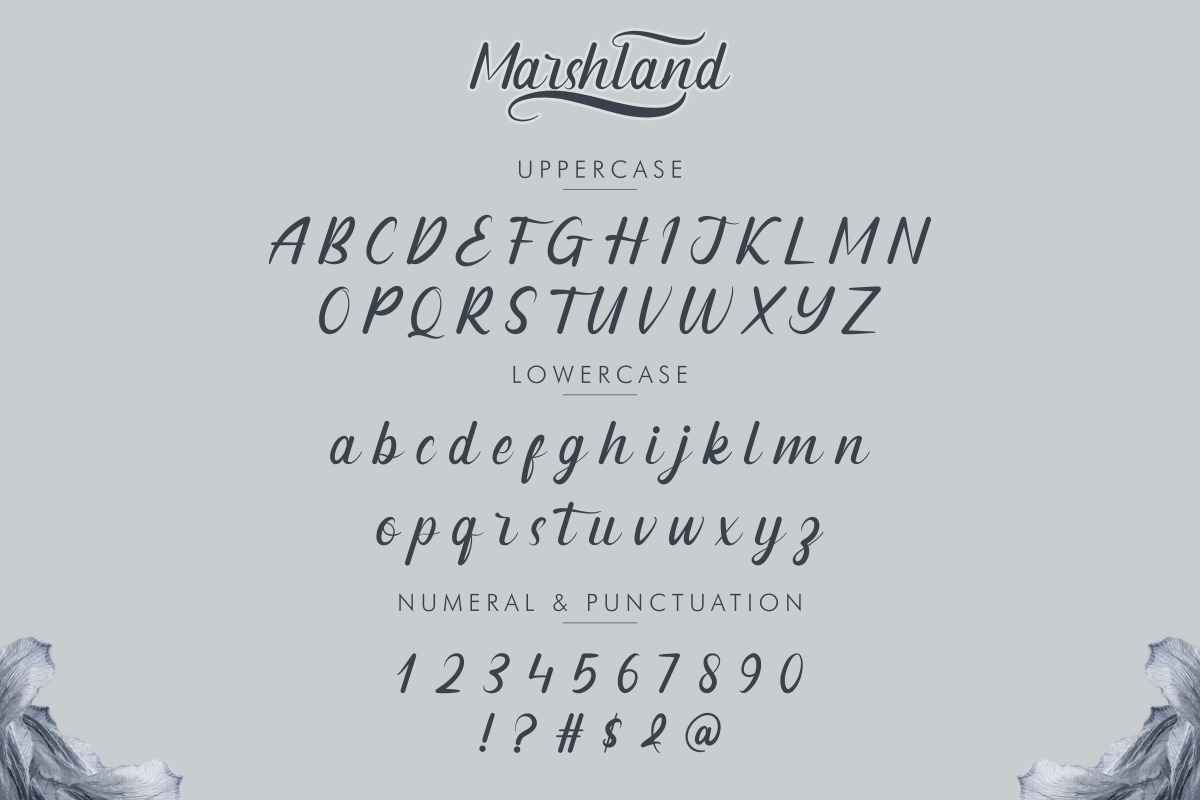 Marshland Elegant Calligraphy Font Marshland Elegant Calligraphy Font