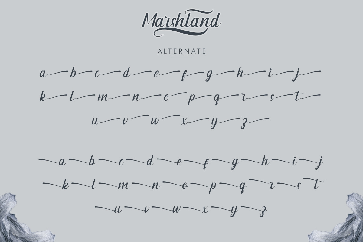 Marshland Elegant Calligraphy Font Marshland Elegant Calligraphy Font