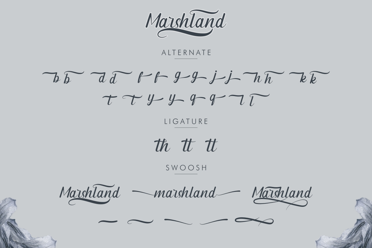 Marshland Elegant Calligraphy Font Marshland Elegant Calligraphy Font