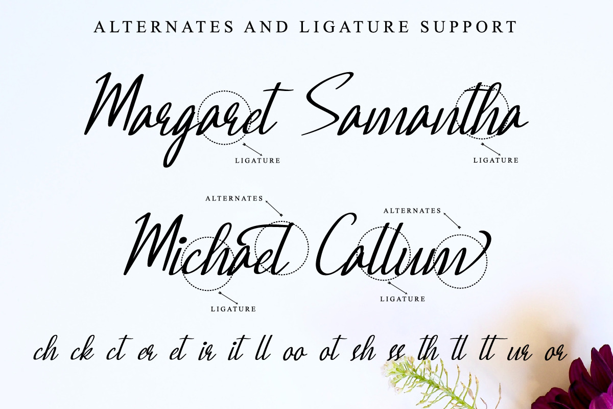 Daylighted Calligraphy Font