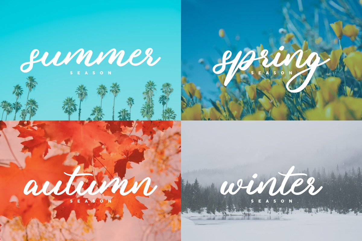 Losemine Calligraphy Font Losemine Calligraphy Font