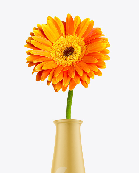 Ceramic Vase with Gerbera Flower Mockup