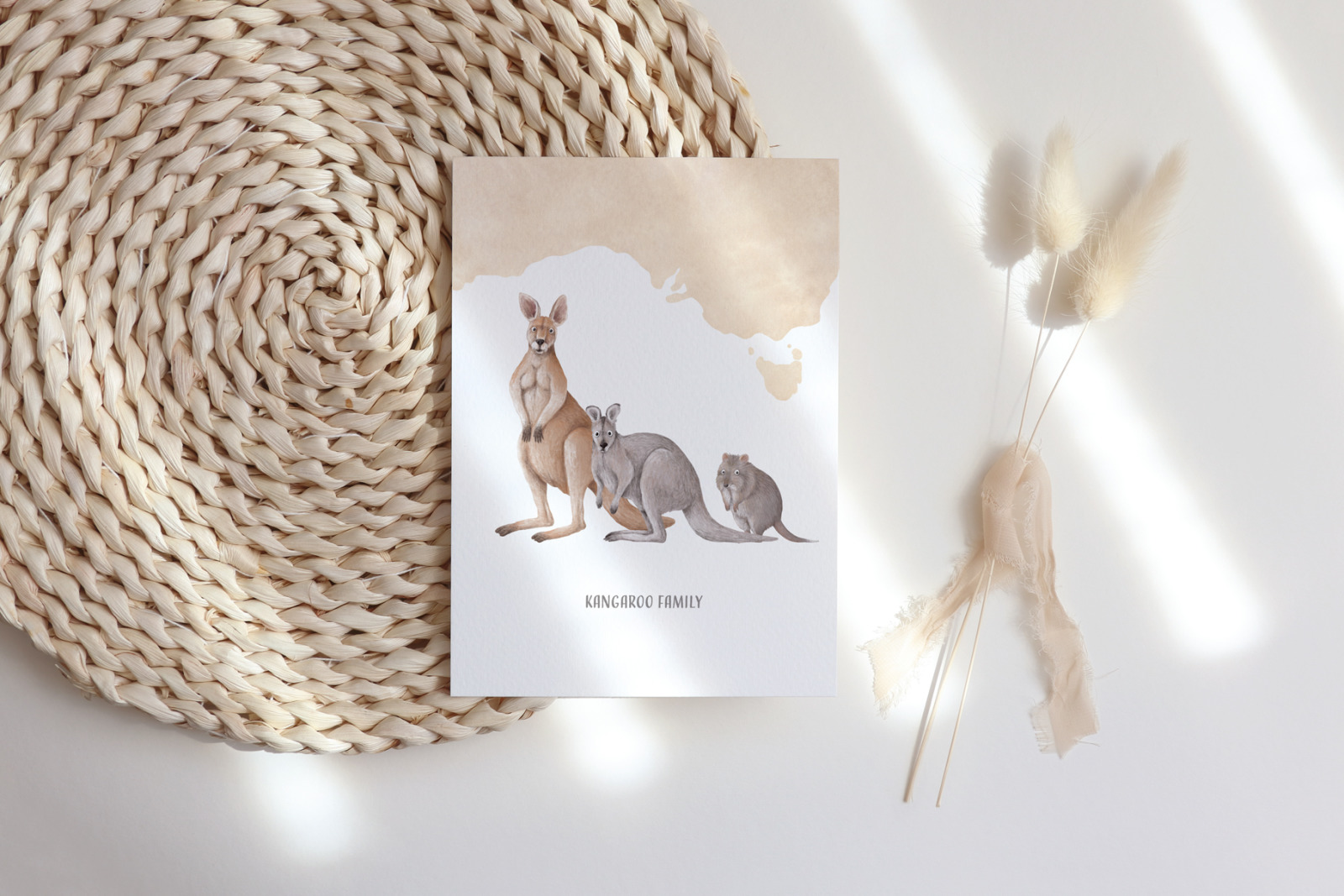 Animals of Australia Animals of Australia