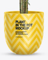 Bamboo in the Pot Mockup