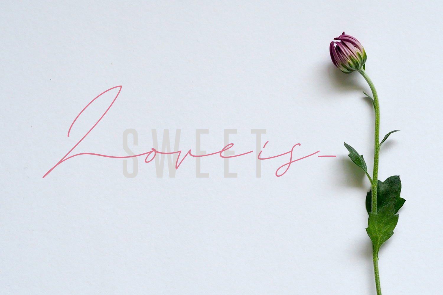 Challista Signature Font Challista Signature Font