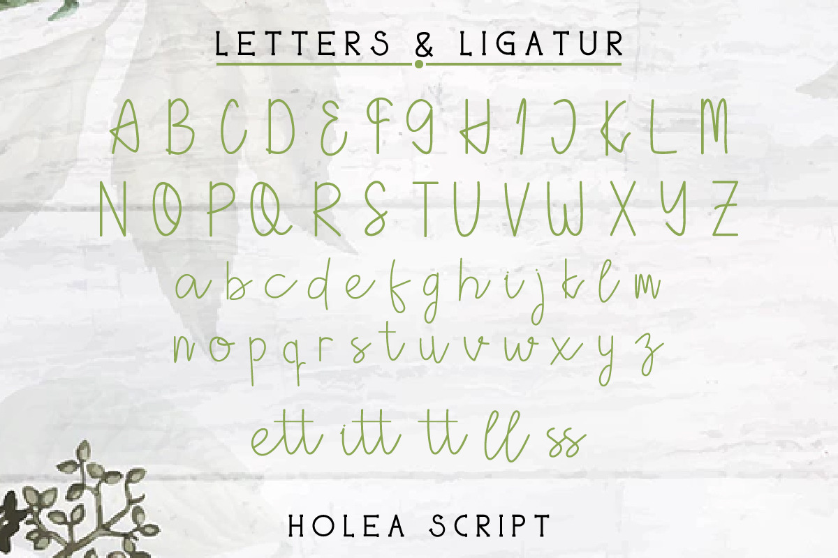 Holea Fonts Duo Holea Fonts Duo