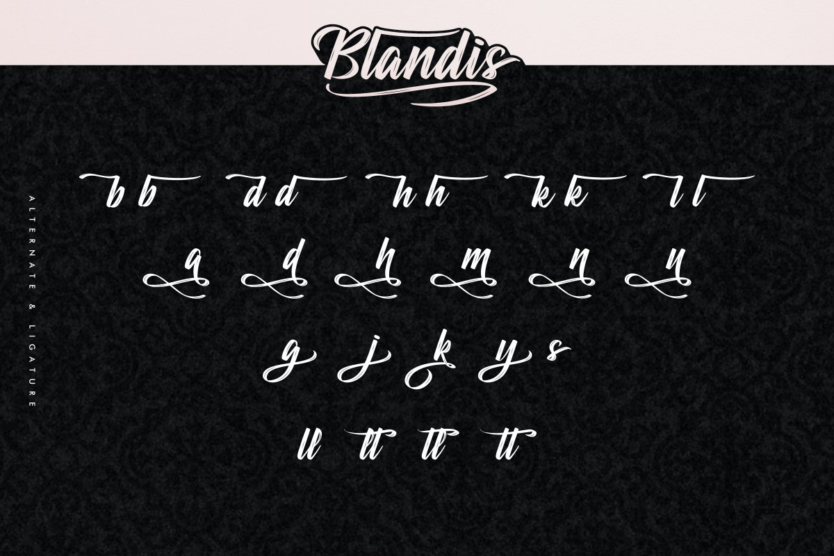 Blandis Brush Textured Script Font Blandis Brush Textured Script Font