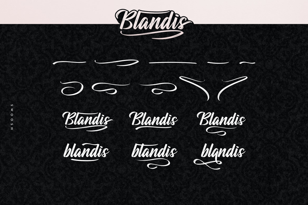 Blandis Brush Textured Script Font Blandis Brush Textured Script Font