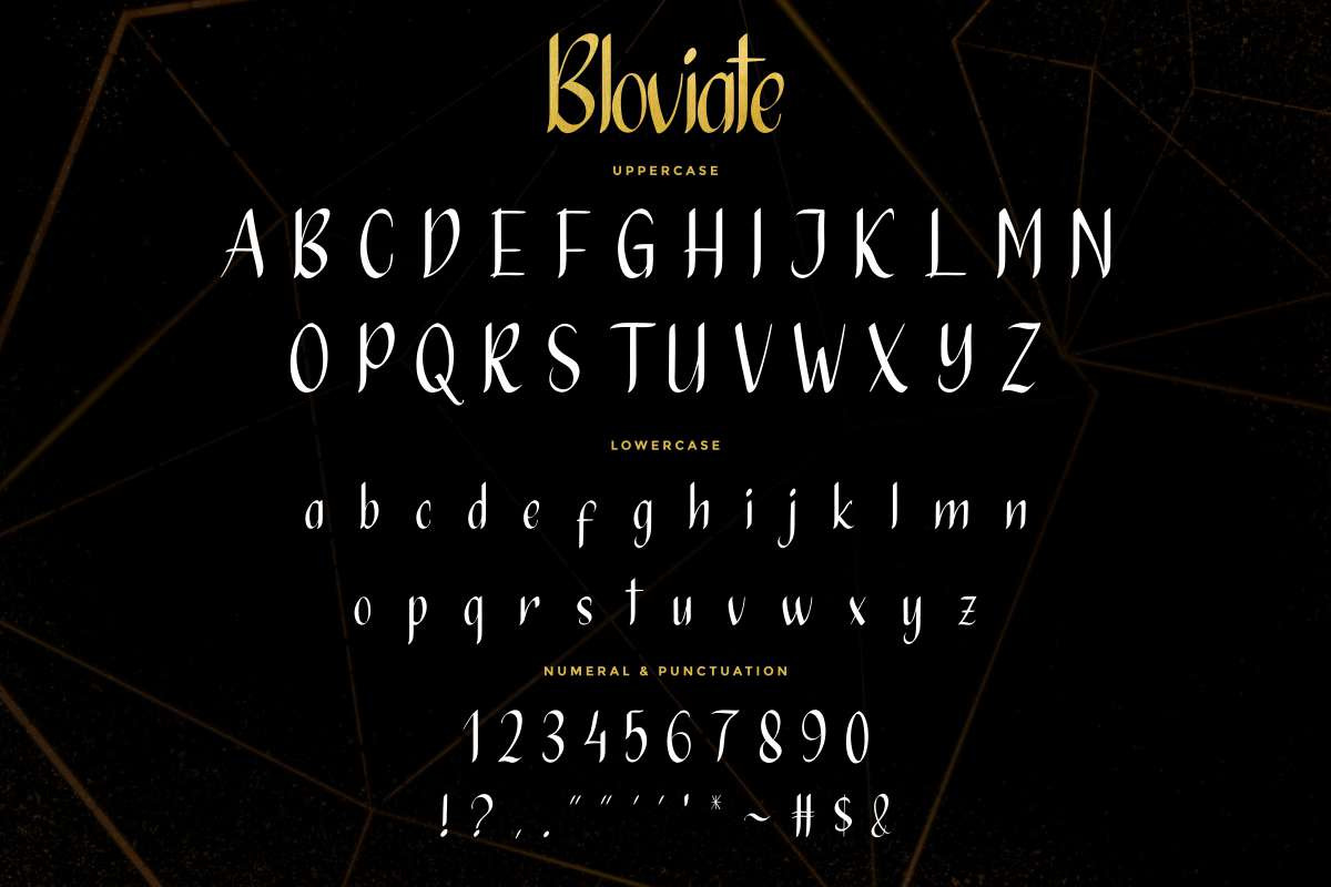 Bloviate Bold Display Font Bloviate Bold Display Font