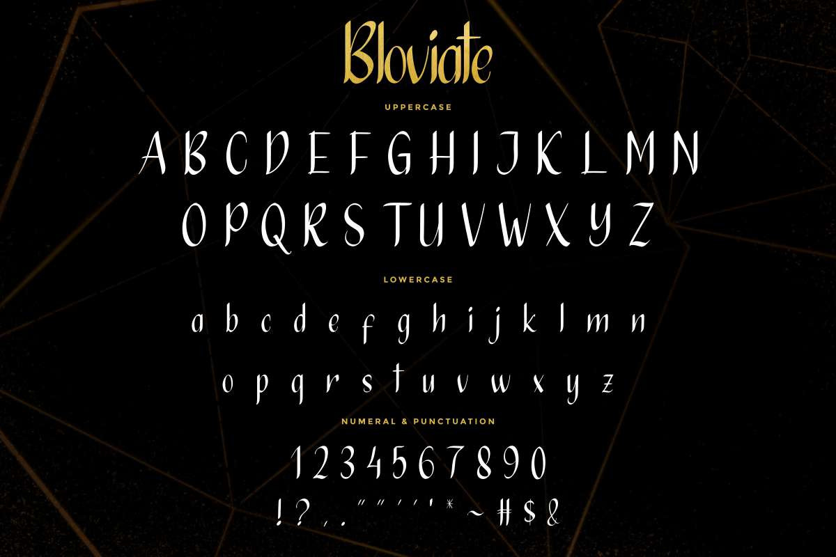 Bloviate Bold Display Font