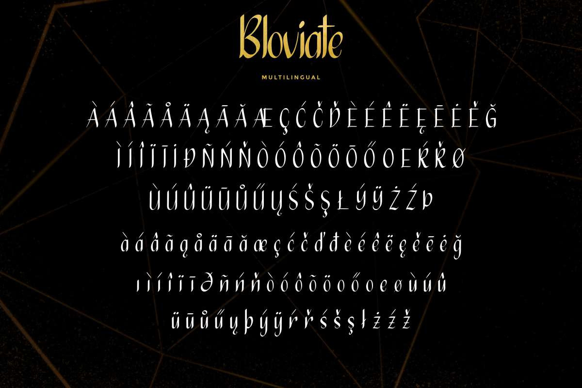 Bloviate Bold Display Font