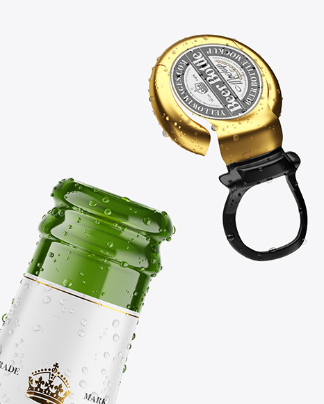 Green Glass Lager Beer Bottle w/ Condensation Mockup - Free Download