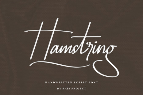 Hamstring Signature Handwritten Font - Original