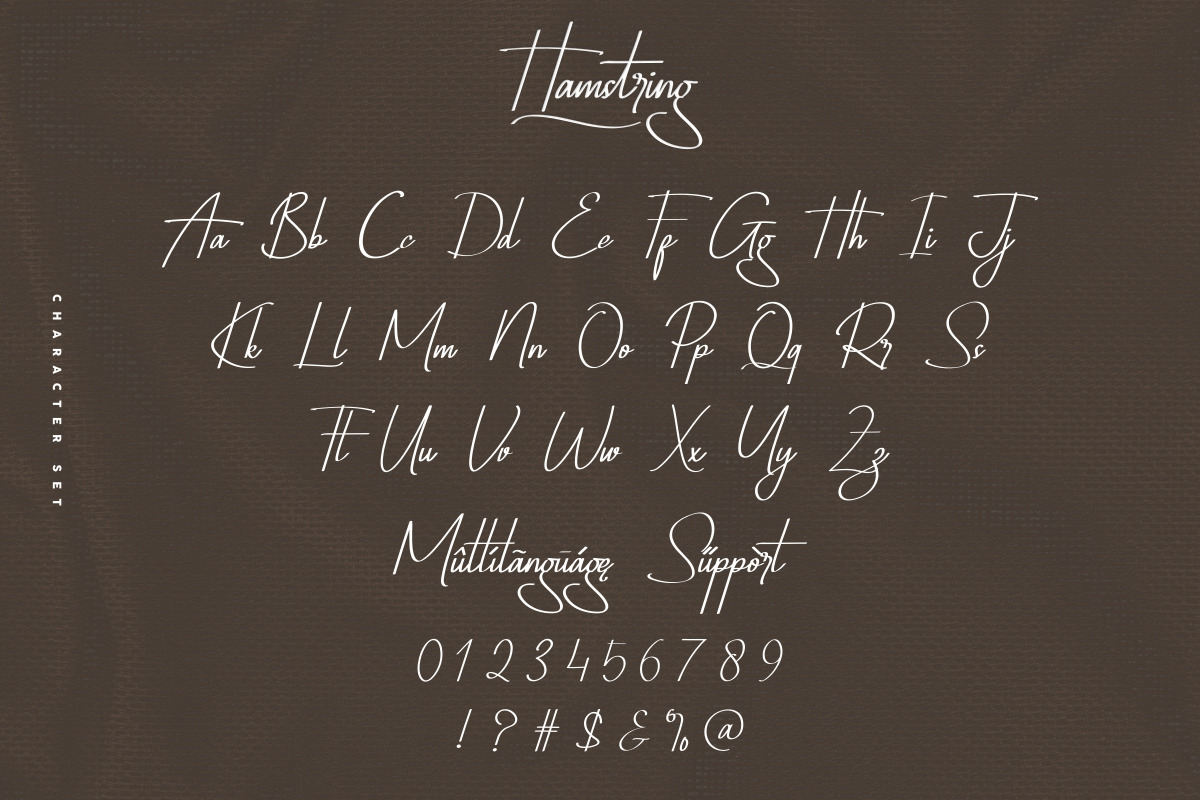 Hamstring Signature Handwritten Font