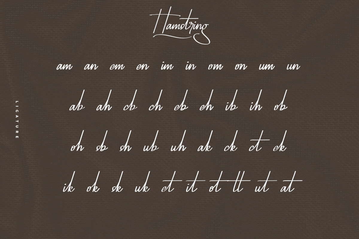 Hamstring Signature Handwritten Font