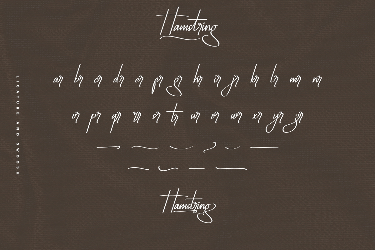 Hamstring Signature Handwritten Font