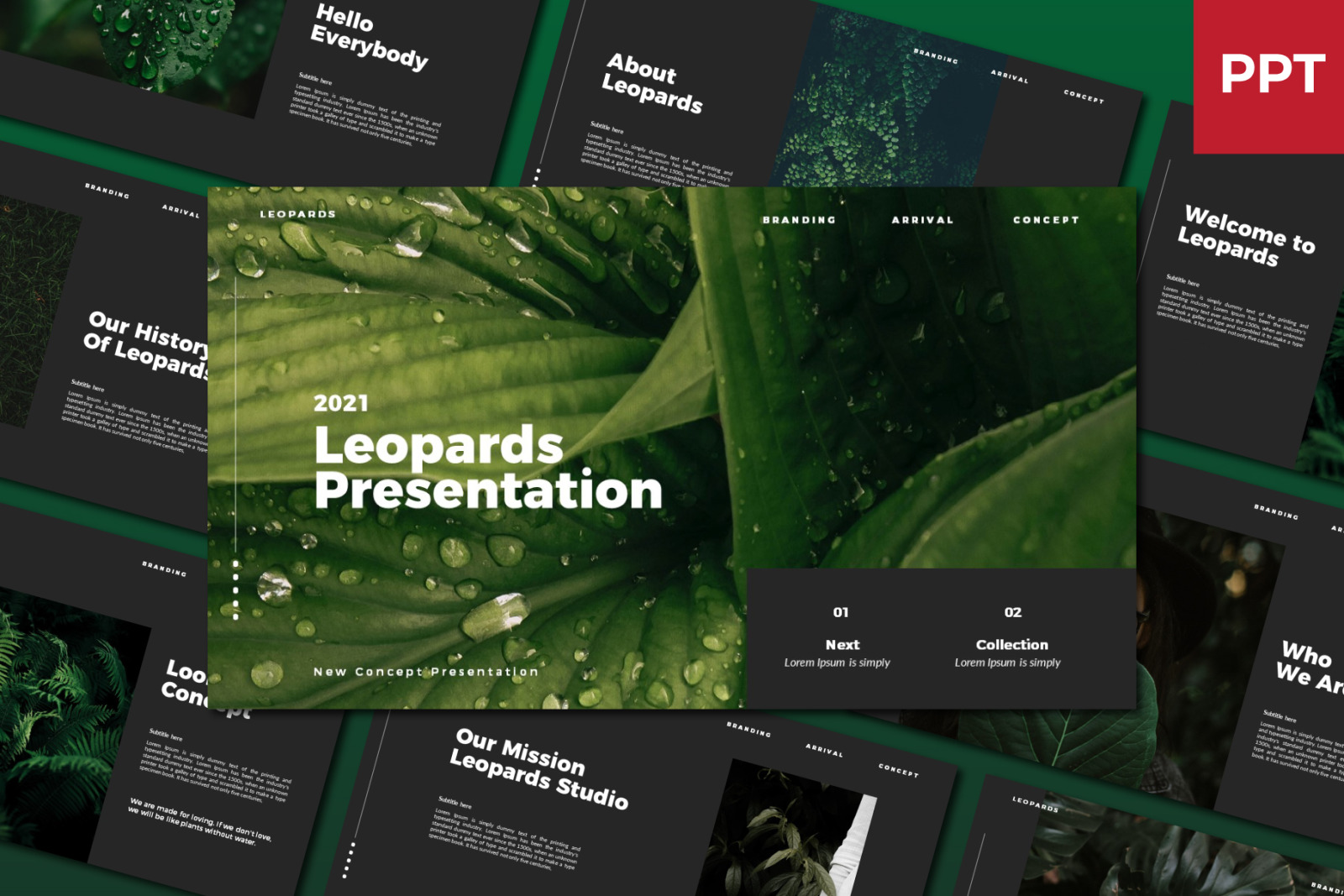 Leopards Powerpoint Template Leopards Powerpoint Template