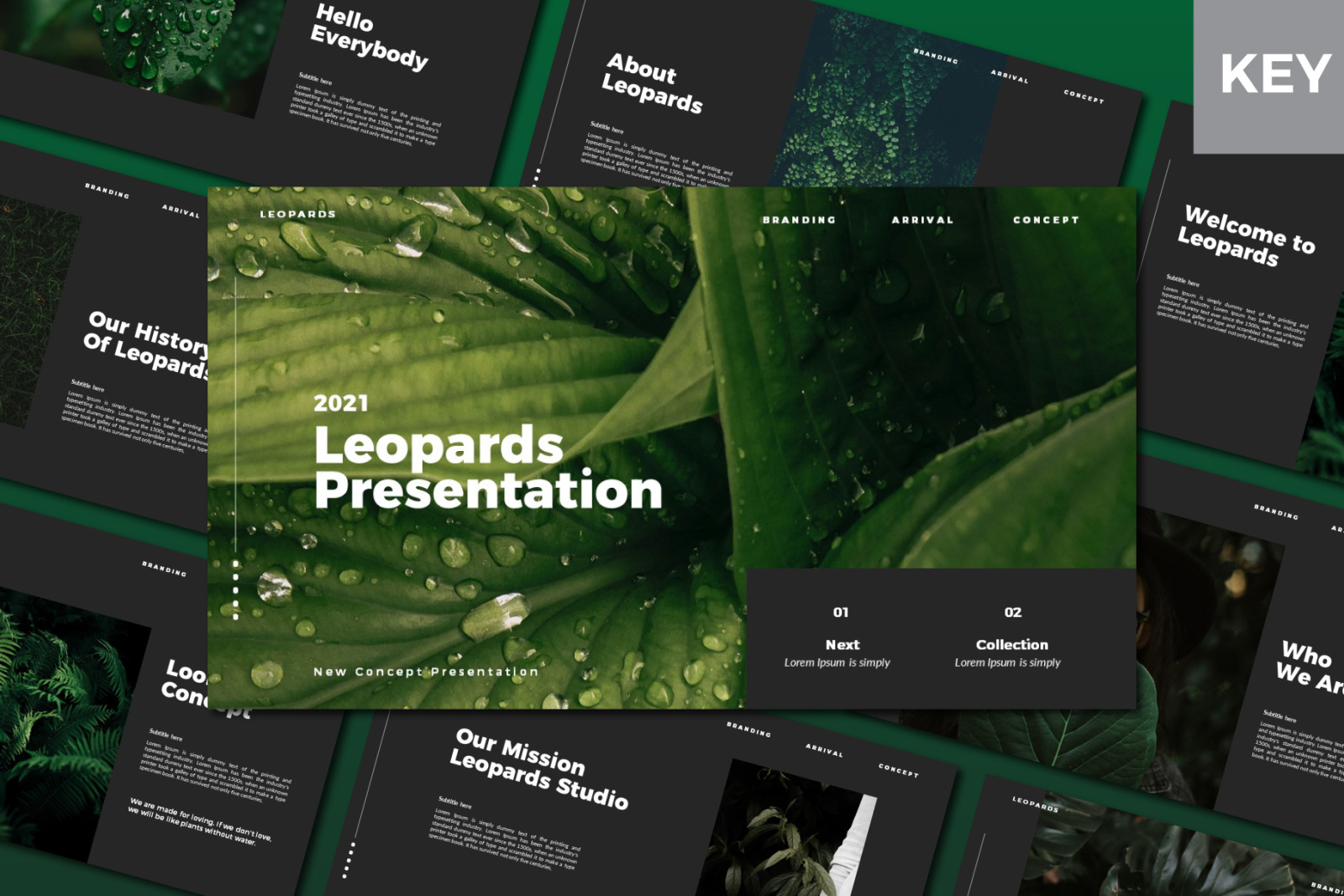 Leopards Keynote Template Leopards Keynote Template