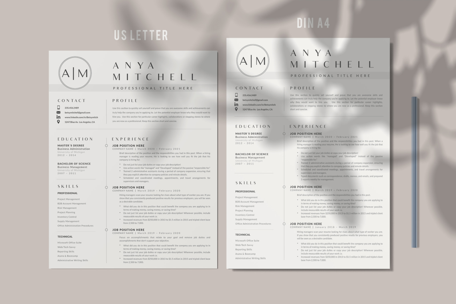 3 Pages of Professional Resume CV Design with Cover Letter format and References page