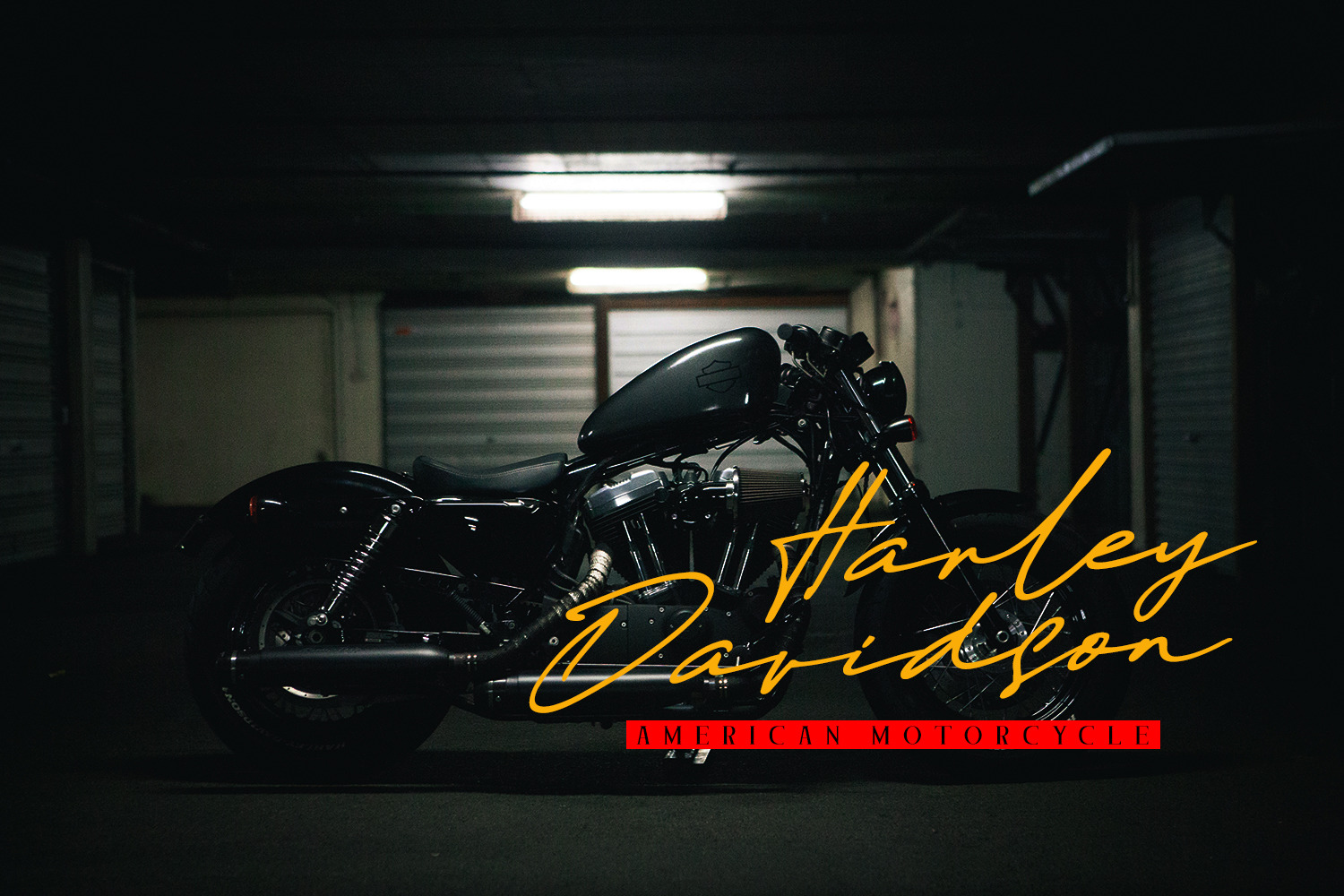 Daniels Signature Daniels Signature