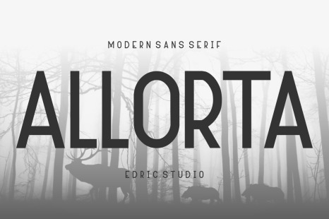 Allorta Type Face Font - Business law