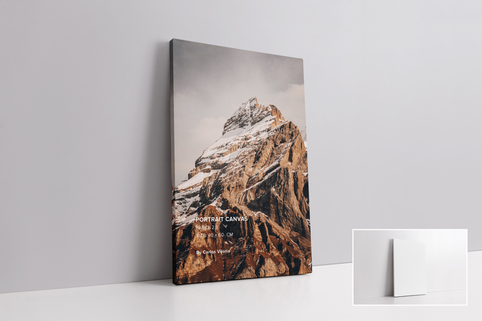 Canvas Mockups Bundle 2