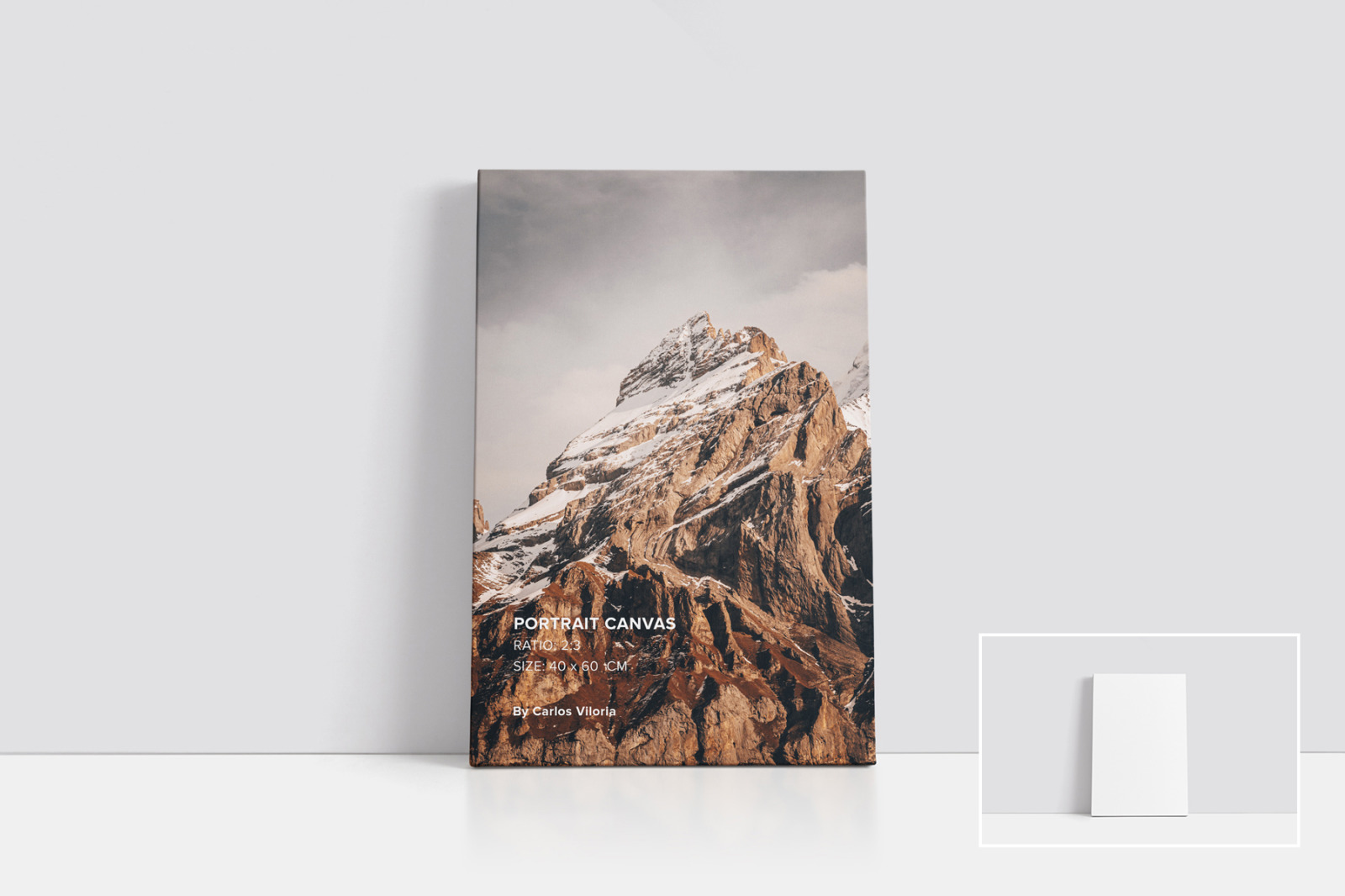 Canvas Mockups Bundle 2