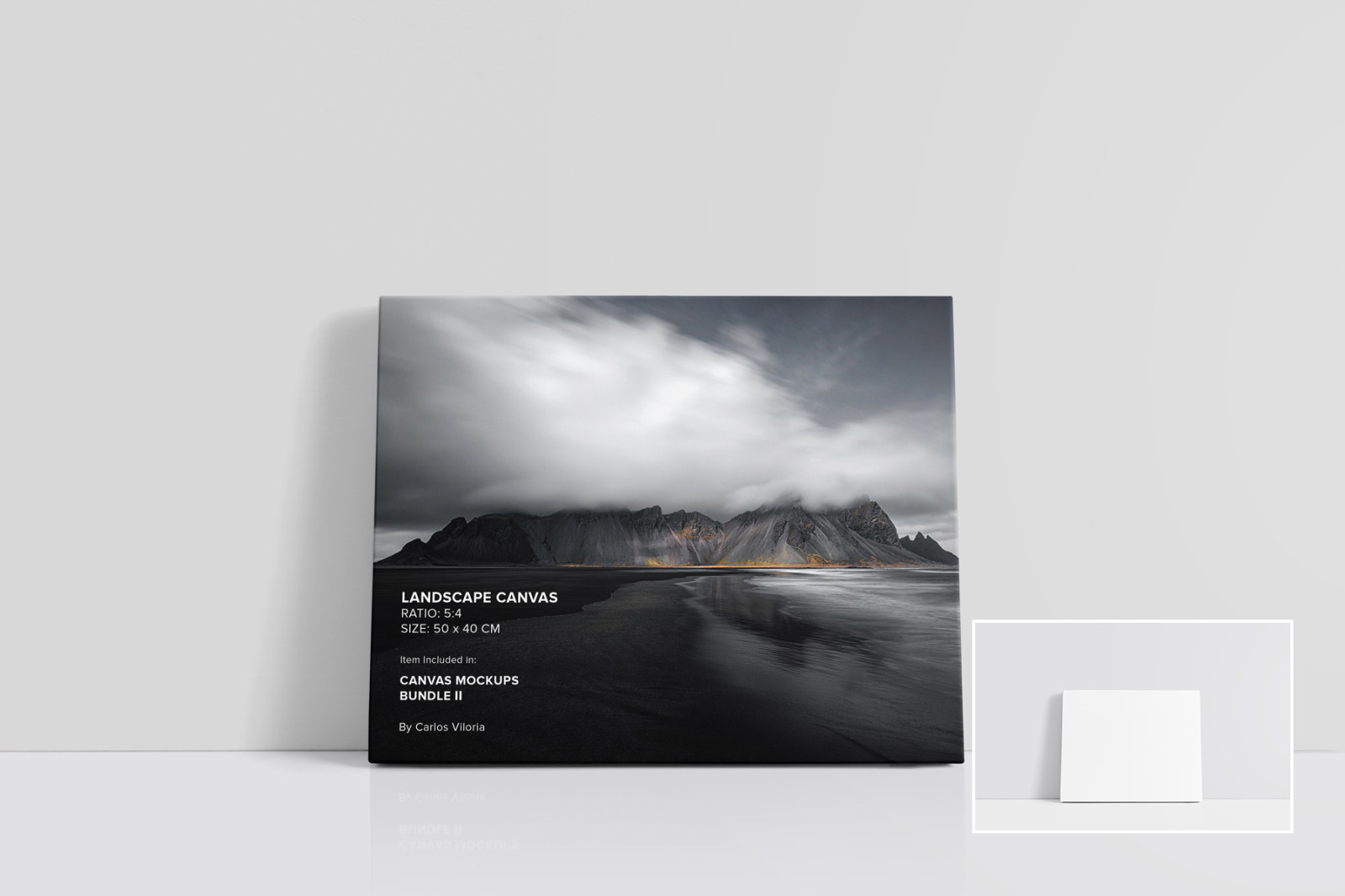 Canvas Mockups Bundle 2