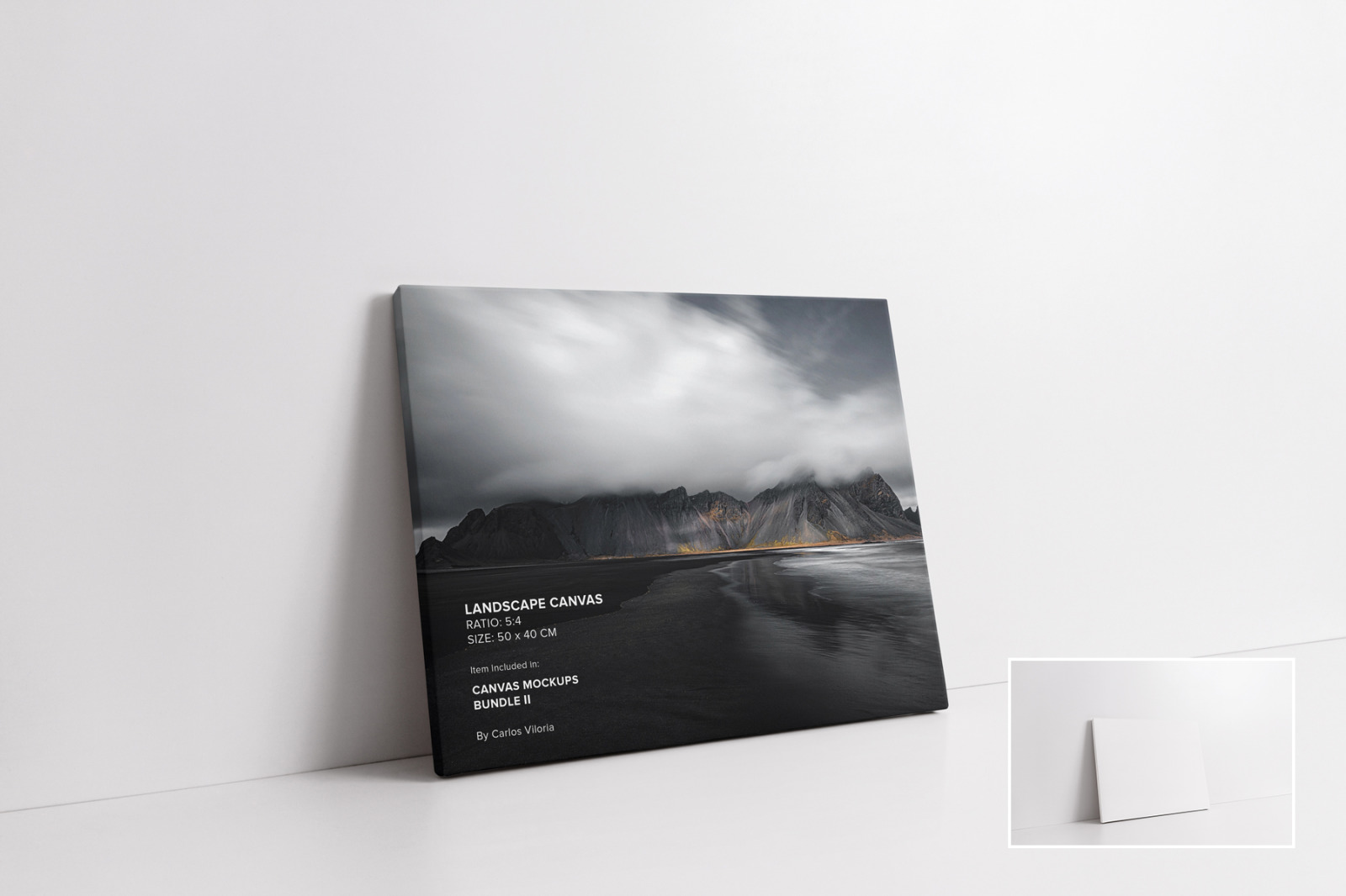 Canvas Mockups Bundle 2