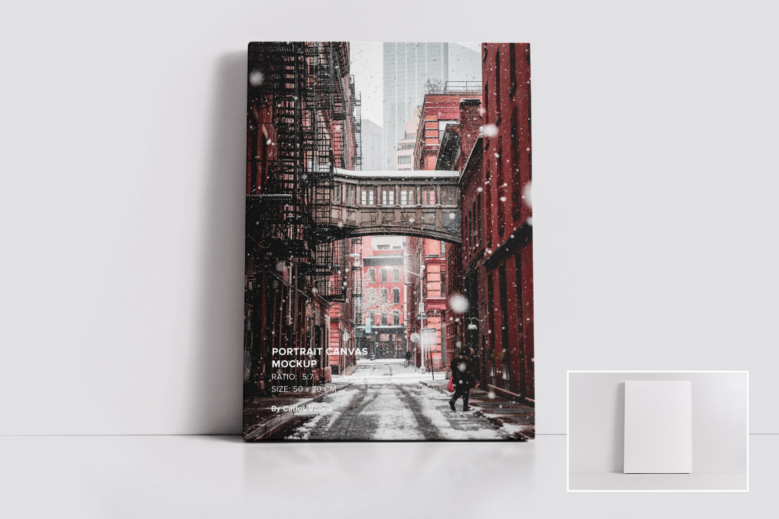 Canvas Mockups Bundle 2 Canvas Mockups Bundle 2