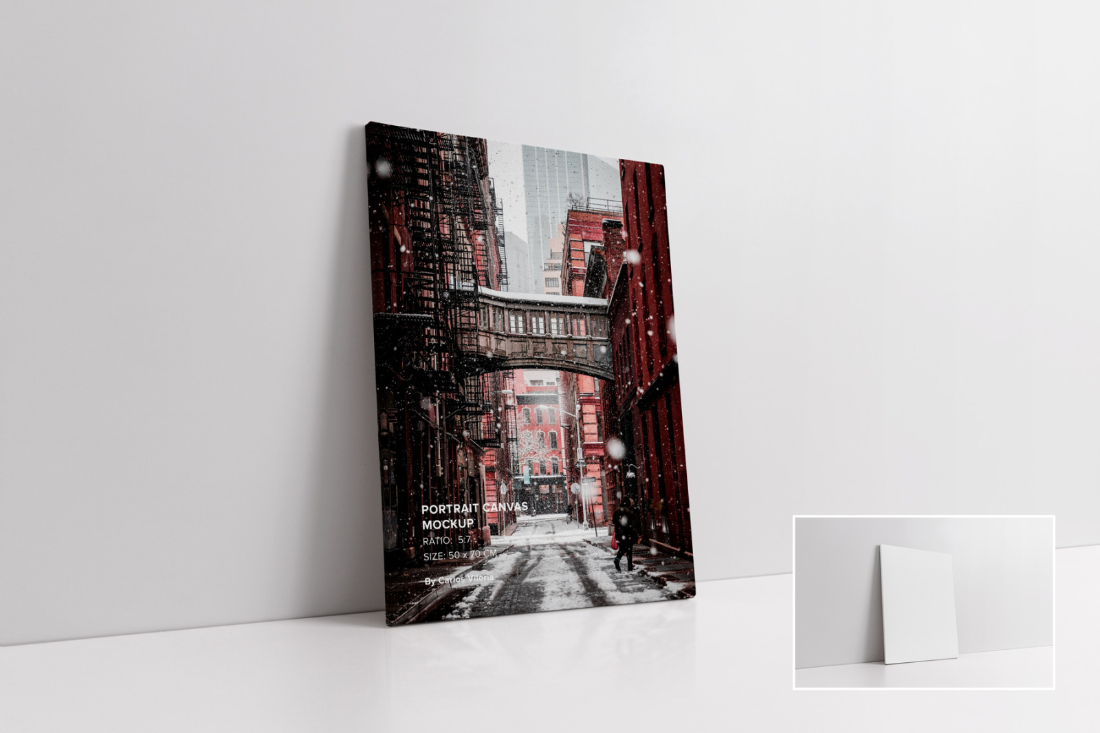 Canvas Mockups Bundle 2 Canvas Mockups Bundle 2