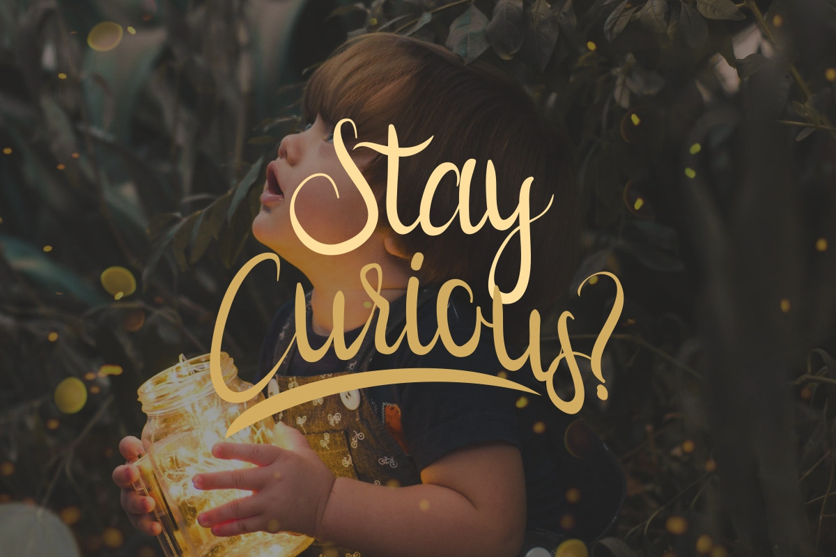Callion Calligraphy Font Callion Calligraphy Font