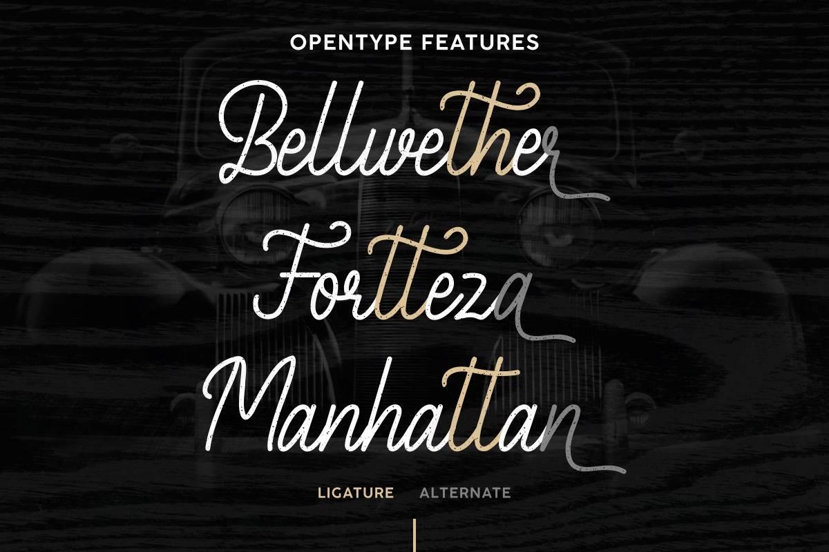 Batherly Vintage Script Font Batherly Vintage Script Font