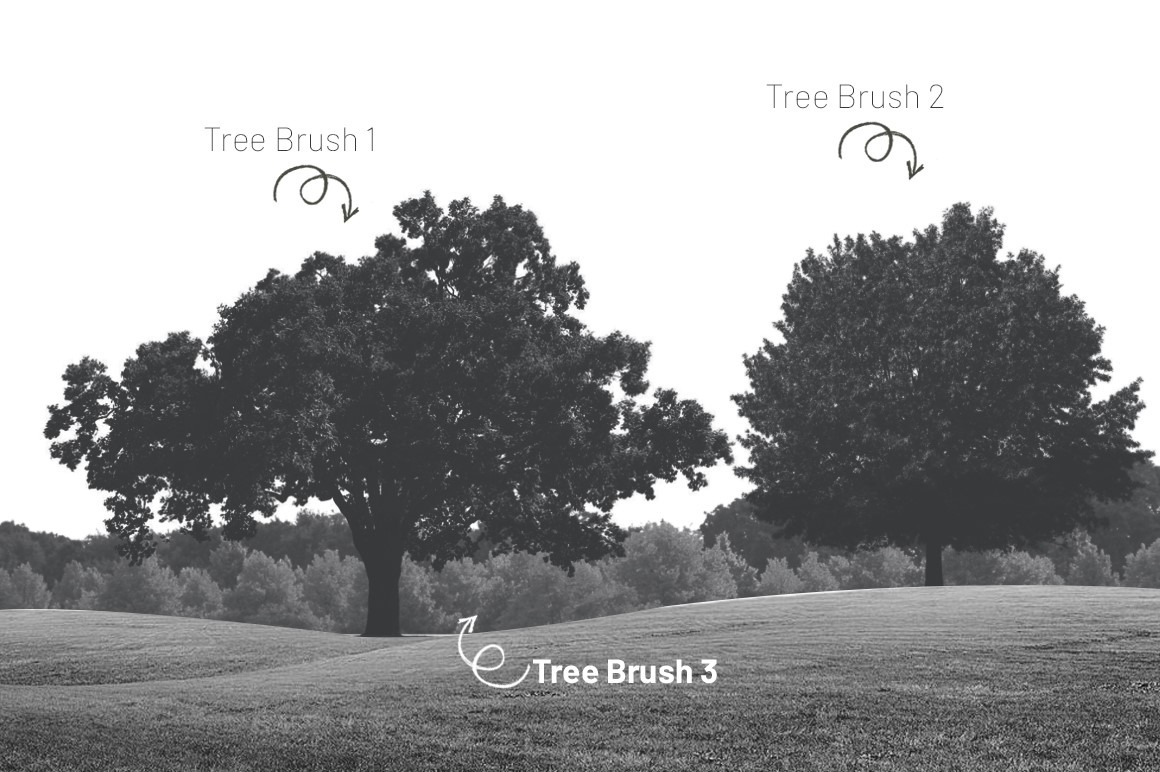 30 Realistic Tree Brushes for Photoshop