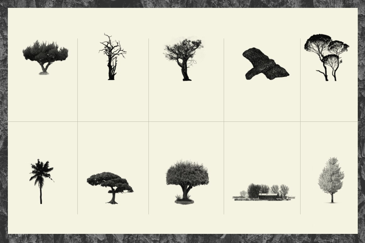 30 Realistic Tree Brushes for Photoshop