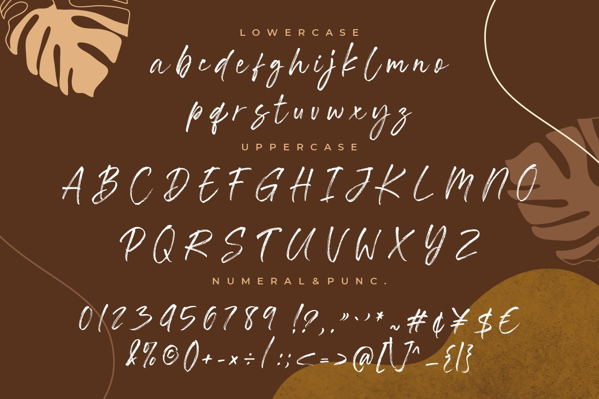 Southwell Brush Script Southwell Brush Script