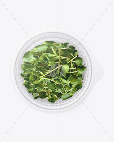 Transparent Plastic Container with Microgreen Mockup