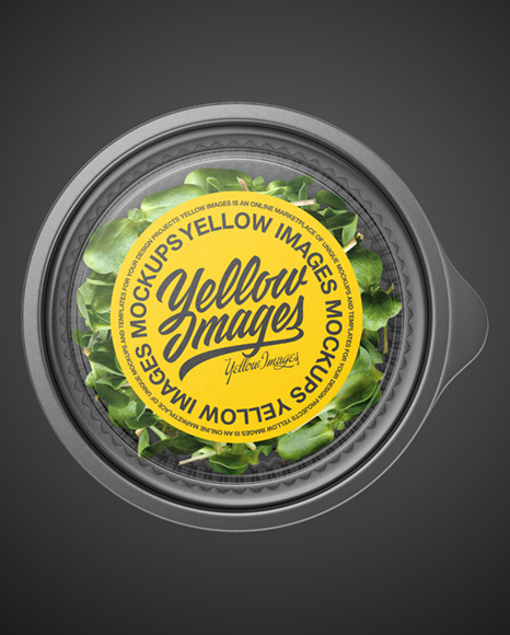 Transparent Plastic Container with Microgreen Mockup