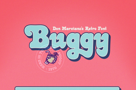 Buggy Retro Font - Skate