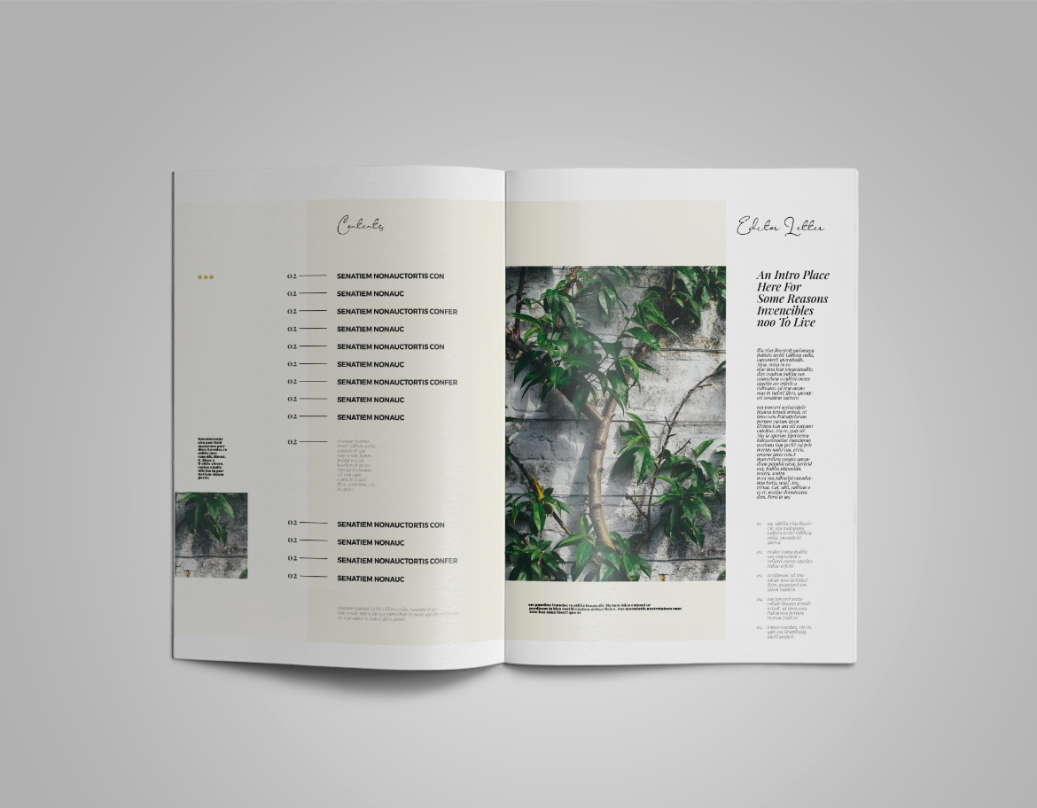 Naturia | Magazine template Naturia | Magazine template
