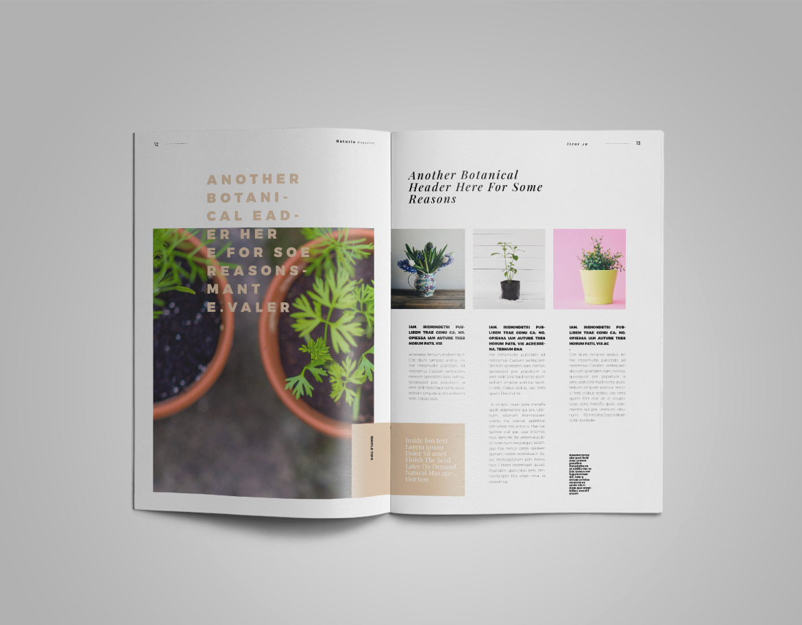 Naturia | Magazine template