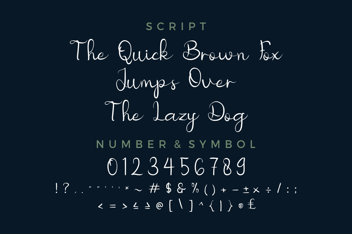 Nicollia Script Font Nicollia Script Font