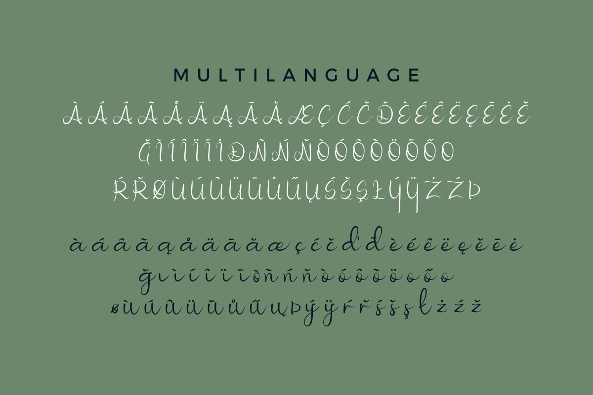 Nicollia Script Font Nicollia Script Font