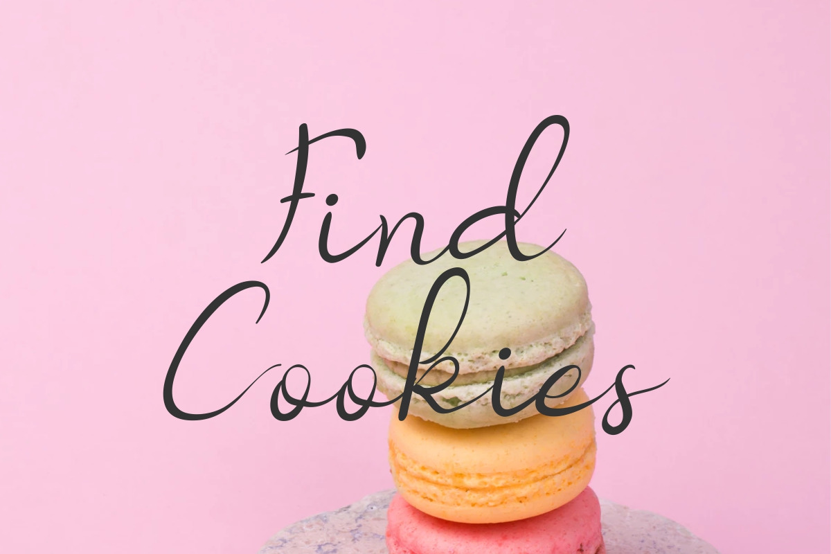 Nicollia Script Font Nicollia Script Font
