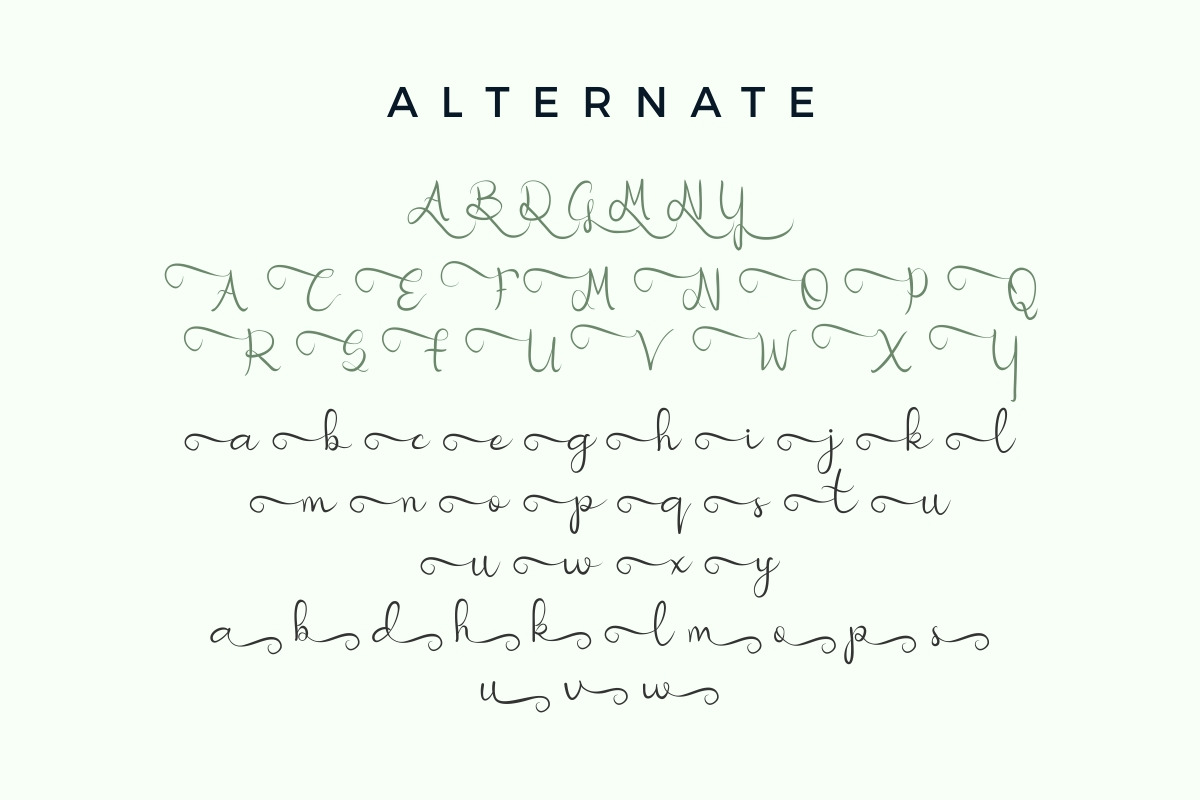 Nicollia Script Font Nicollia Script Font