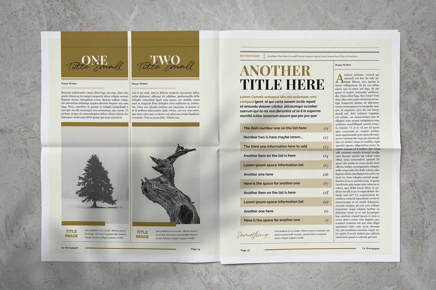 Newspaper Magazine Template